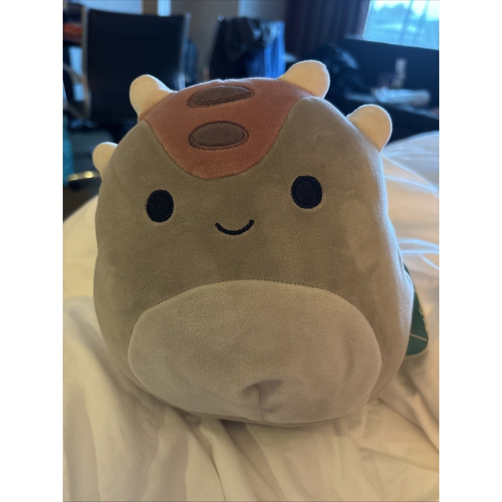 Squishmallow 8 " NWT's Newbie Squad Plush | Ainhoca The Armored Dinosaur
